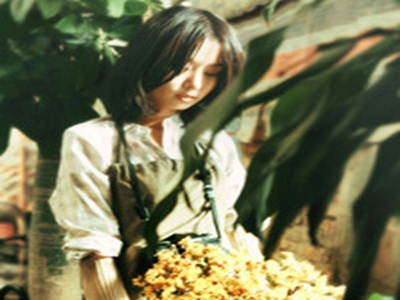 冲哥黑料每日一冲,娱乐圈风波：隐私与舆论的较量-2